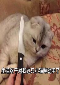 旧爱刚去,新欢不止(np)