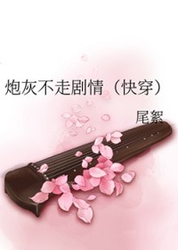 炮灰不走剧情