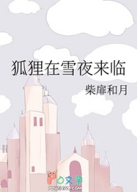 狐狸在雪夜来临