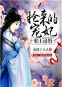 邪王逼婚:抢来的宠妃