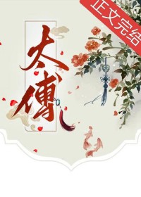 太傅GB