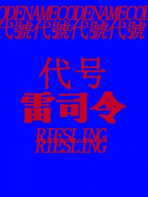 代号:雷司令