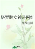 塔罗牌女神是网红